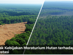 Dampak Kebijakan Moratorium Hutan terhadap Deforestasi