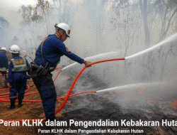 Peran KLHK dalam Pengendalian Kebakaran Hutan