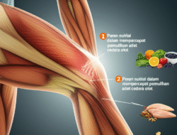 Peran nutrisi dalam mempercepat pemulihan atlet cedera otot
