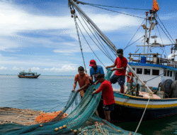 Upaya peningkatan kesejahteraan nelayan dan sektor perikanan